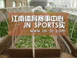 环境展示五