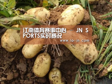 种植基地六