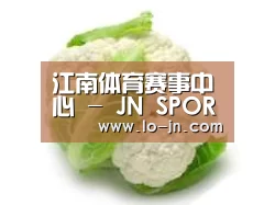 产品名称九